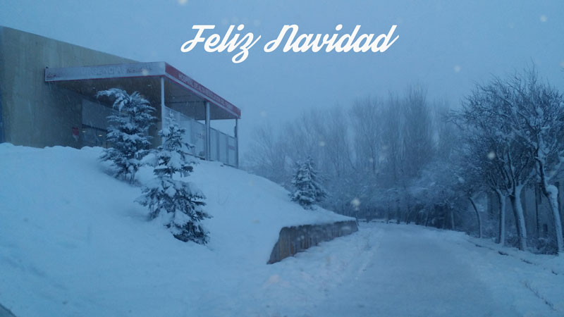jaca con nieve